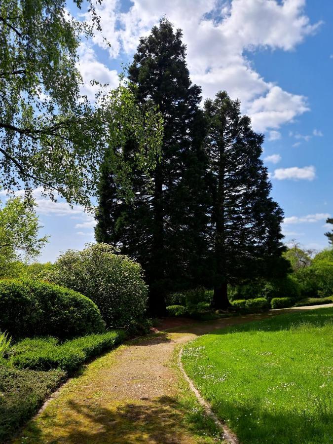 Zur Steinhoehle Nuembrecht Exterior foto